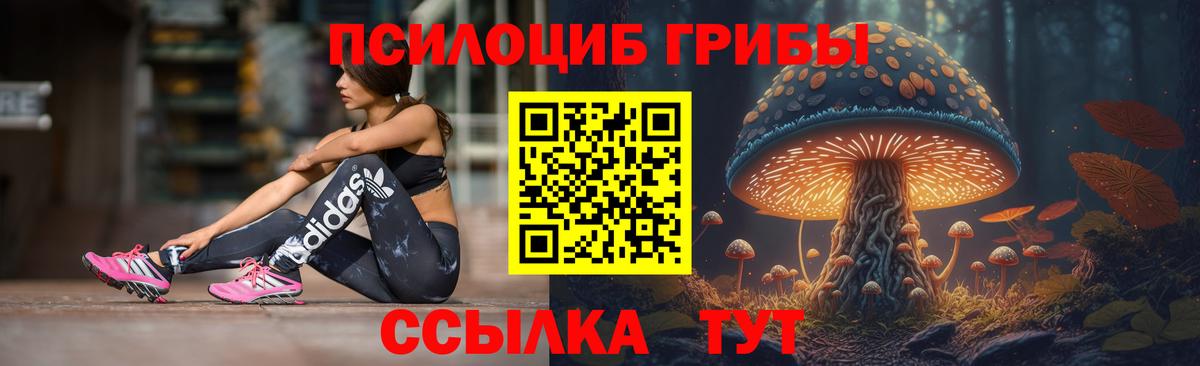 Псилоцибиновые грибы Psilocybine cubensis Майкоп